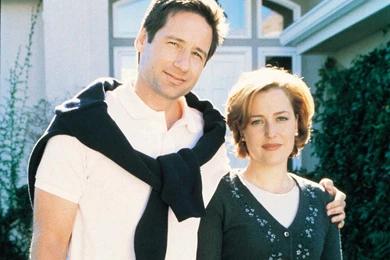 The X Files   The X Files Wallpapers (20005682)   Fanpop