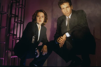 The X Files The X Files Wallpapers (25366093) Fanpop