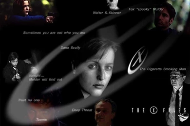 The X Files The X Files Wallpapers (25080837) Fanpop