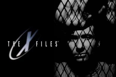 The X Files The X Files Wallpapers (7776111) Fanpop