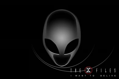 XFiles Wallpapers By Jadzia21 On DeviantArt