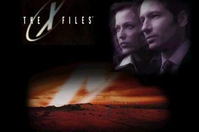 The X Files   The X Files Wallpapers (68042)   Fanpop