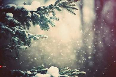 22+ Winter / Christmas Wallpapers For Desktops