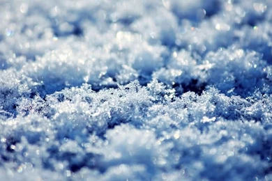 Winter Snowfall Wallpapers Image