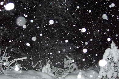 My Free Wallpapers   Nature Wallpapers : Snowfall At Night