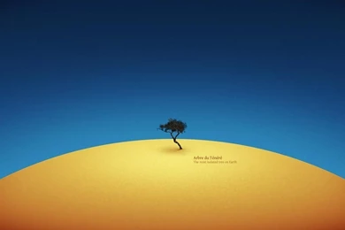 The Most Isolated Tree On Earth Best Hd Wallpapers 1024x768 Hd ...