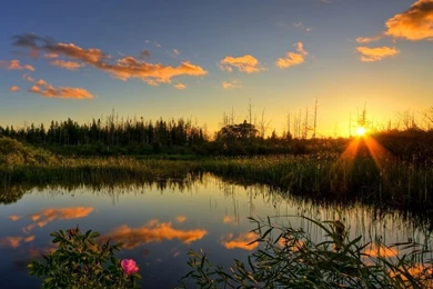 Free Wallpapers HD HD Desktop Wallpapers : Widescreen : High ...