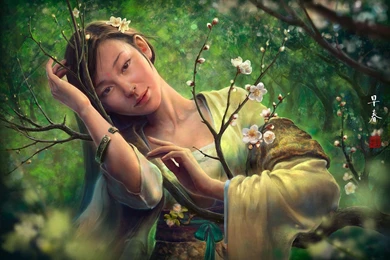 Asian Face Profile   Wallpaper.