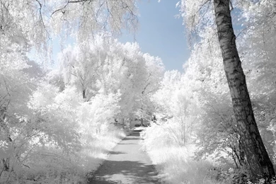 Download Beautiful Landscape Hd Desktop Wallpapers