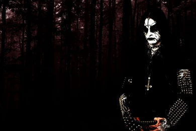 Brutal Forest Woods Hd Wallpapers   (