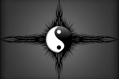 Yin Yang On Pinterest
