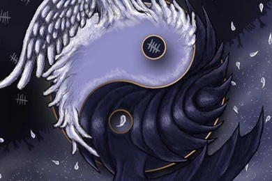 Dark Side And Yin Yang Thingy Wings Abstract Hd Wallpapers ...