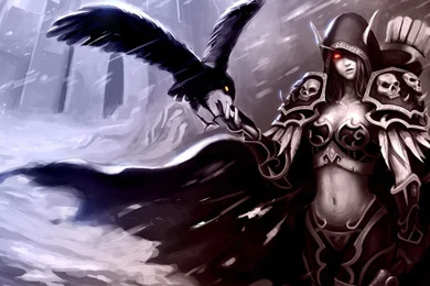Download Wallpapers 1920x1080 World Of Warcraft, Blood Elf, Bird ...