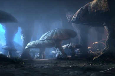 Huge Mushrooms Wallpapers