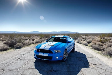 Ford Shelby GT 500 Wallpapers