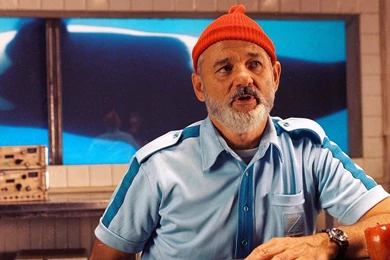 The Life Aquatic With Steve Zissou Bill Murray Hd Wallpapers ...