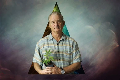 Bill Murray By BrutusThePanda On DeviantArt