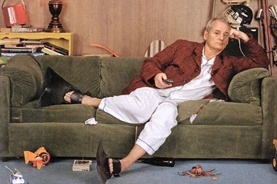 Bill murray ziqq wallpaper fa219b9684a02ac25fcbe84222b676ca large 250588.jpg