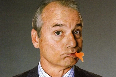 Bill Murray Wallpapers