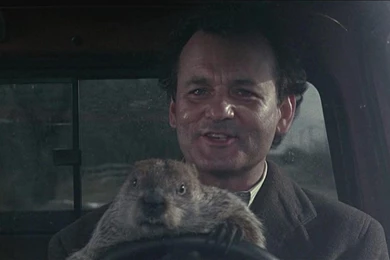 Groundhog Day Wallpapers