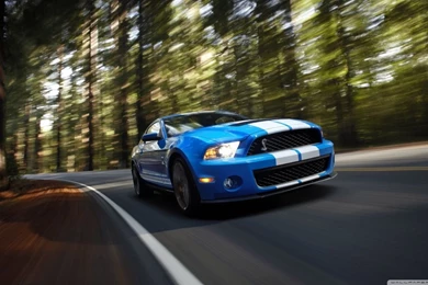 Ford Shelby GT500 HD Desktop Wallpapers : Mobile : Dual Monitor