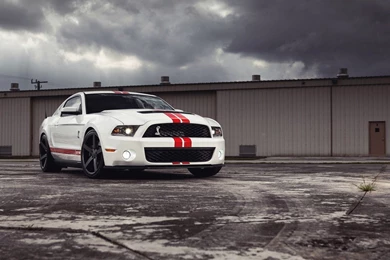 2015 Ford Mustang Shelby GT500 White HD Wallpapers