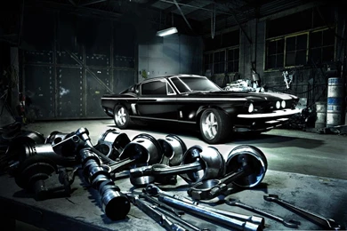 OQuinn's Blog: 2011 Ford Mustang Shelby GT500