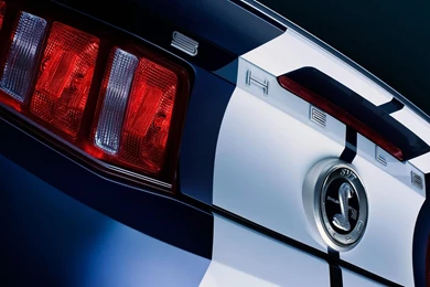 Shelby GT500 Super Snake HD Wallpapers