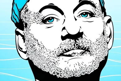 DeviantArt: More Like Bill Murray By Funkwood