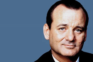 Bill murray pgym 0f248836f810bbd773a238f70345e2ec large 396453.jpg