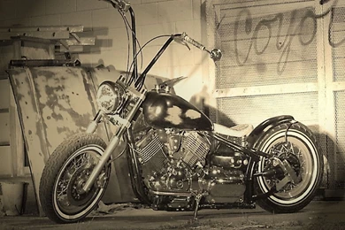 Bobbers Favourites By Reydoo On DeviantArt