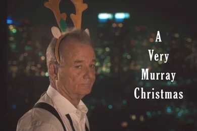 Netflix Nabs Bill Murray Holiday Special, BoJack Horseman Rides ...