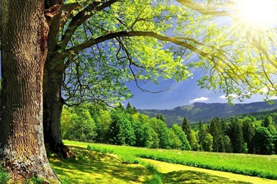 Summer HD Wallpapers 13954   HD Wallpapers Site