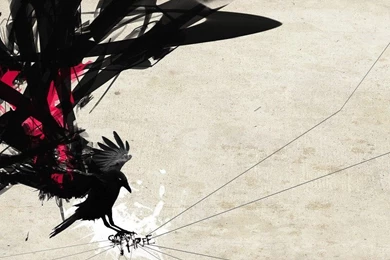 Wallpapers Abstract, Silhouette, Bird, Wings, Lettering, Backgrounds ...