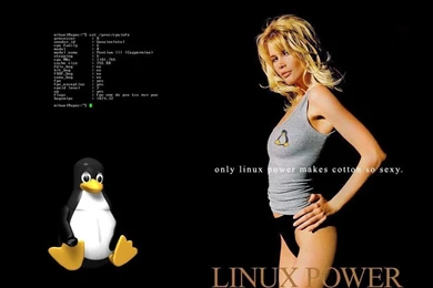 Linux Power Wallpapers Free Desktop Backgrounds   Free Wallpapers Image