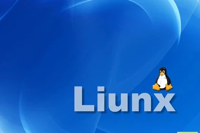 Ws_Linux_1024x768 1.jpg