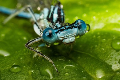 Hd free desktop wallpaper animated 131 461 Desktop Wallpapers ...