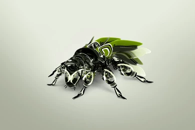 Description The Wallpapers Above Is Bee Insect Wallpapers In ...