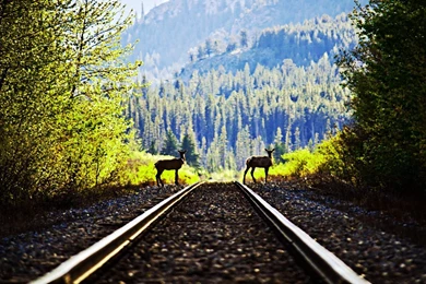 Railroad Computer Wallpapers, Desktop Backgrounds