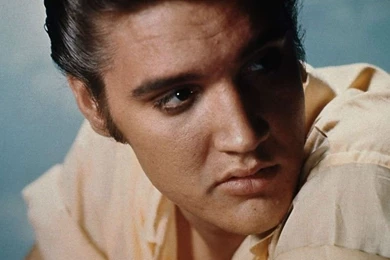 Elvis Presley Rock Men Free Desktop Backgrounds And Wallpapers