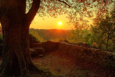 Autumn Warm Light Wallpapers