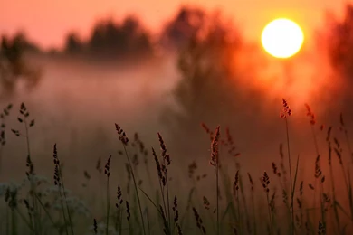 Warm Sunset Wallpapers 7402 1920 X 1080   WallpaperLayer.com