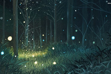 Forest Night Wallpapers   Artistic Wallpapers