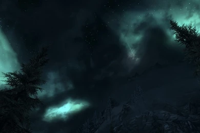 Trees Night Forest Skyscapes The Elder Scrolls V Skyrim Fresh New ...