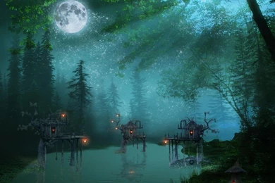 Nature Night Forest Wallpapers