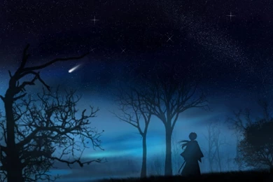 Night Forest (id: 181464) – BUZZERG