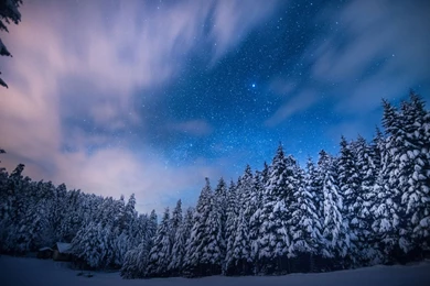 Trees Stars Night Snow Winter Forest Sky Clouds Landscapes ...