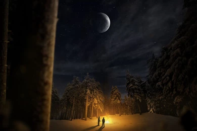 1600x1200 Bonfire, Trees, Two, People, Night, Forest, Snow, Winter ...