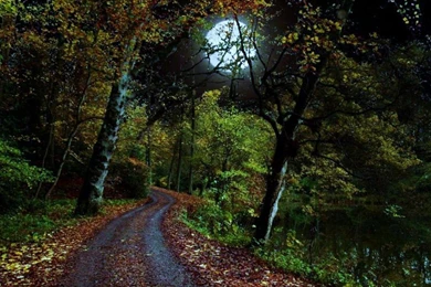 Classic Car (id: 190933) – BUZZERG