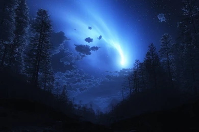Night Forest Fog Sky Wallpapers
